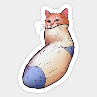 Cat in a sock Sticker